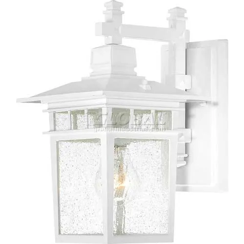 Nuvo 60/4951 Cove Neck-1 Light Outdoor Hang, Clear Seeded, White, 7"W X 11.75"H