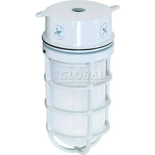 Nuvo 76/616, 1 Light-Surface Mount-Industrial Style, Frosted, White, 4.25"W X 9.375"H
